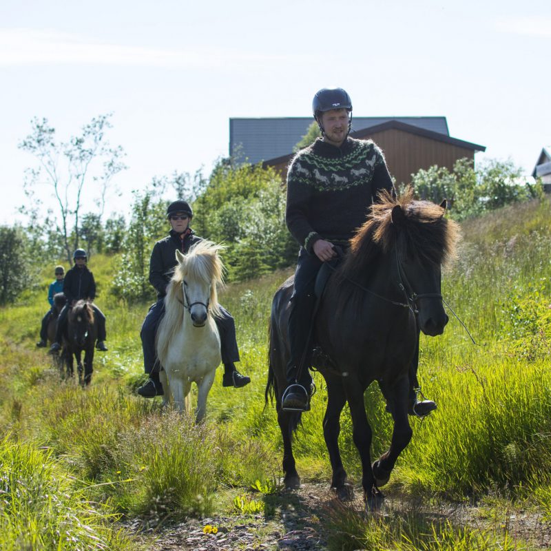 Arnanes Country Hotel - Horse Riding Tour