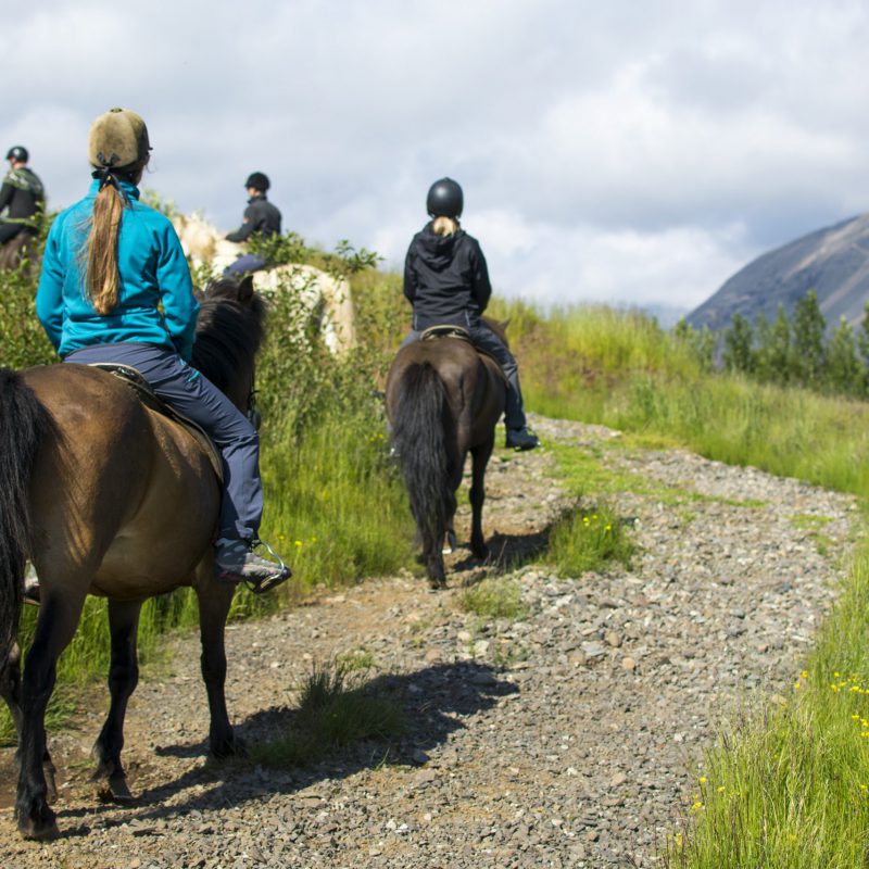 Arnanes Country Hotel - Horse Riding Tour