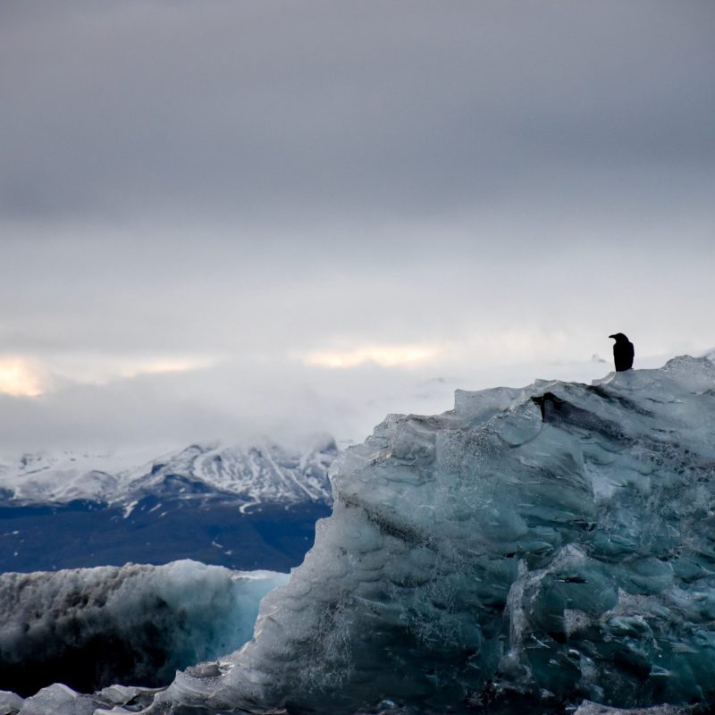 Arnanes Country Hotel - Vatnajokull Glacier